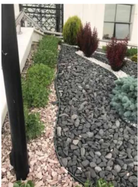 Fig. 4. A sample of xeriscaping – rectorate building entrance (original 2019)