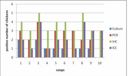 Figure 8. The distribution of diagnostic methods according to chicken coops.