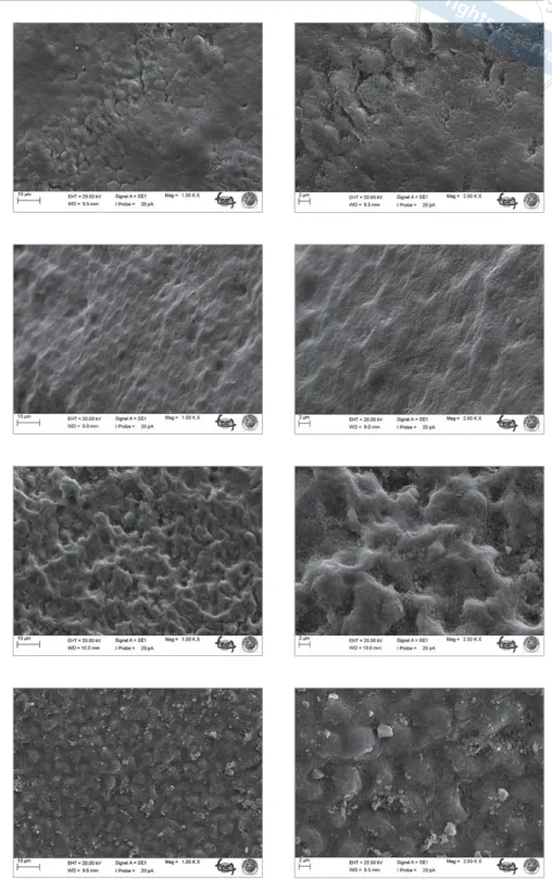 Fig 3    SEM images of toothpaste containing  arginine (left: 1000X; right: 2500X).