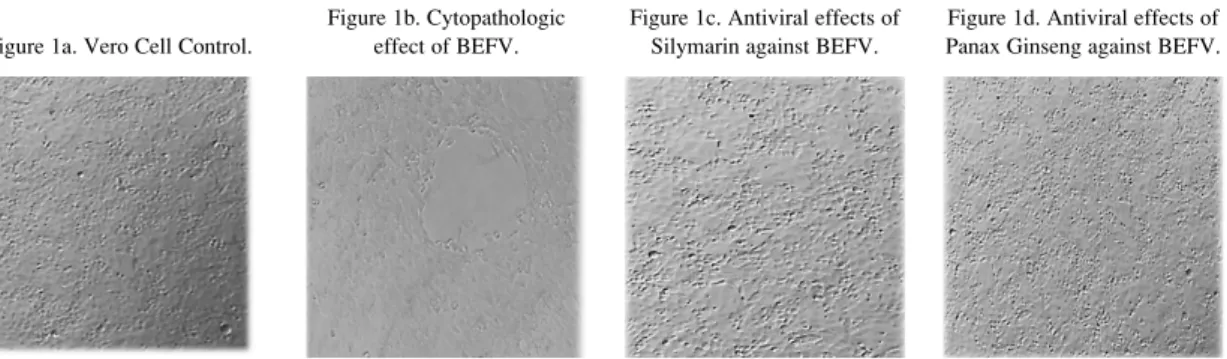 Figure 1. Cytopathologic and Antiviral effects of Silymarin against BEFV on Vero cell line (x40)Figure 1a