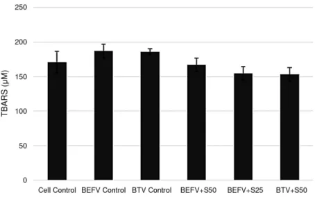 Figure 5. Effects of Silymarin Extract on TBARS Level on Vero Cells infected with BEFV and BTV 