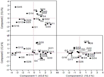 Fig. 3. Score Plot showing the identi ﬁcation and categorization between components of twenty pumpkin genotypes in the irrigated conditions.