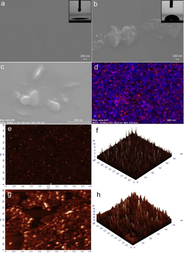 Fig. 1. SEM images of bare glass (a), P5-BPCA coated glass (b, c), EDX mapping of image “c” (d); AFM images of bare glass surface (e, f) and P5-BPCA coated glass (g, h)