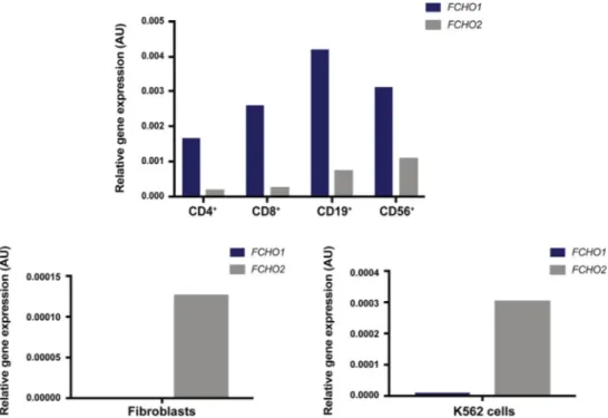 FIG E3. Relative expression of FCHO1 and FCHO2 transcripts in healthy donors’ lymphoid subpopulations (CD4 1 , CD8 1 , CD19 1 , and CD56 1 cells), fibroblasts, and K562 cells