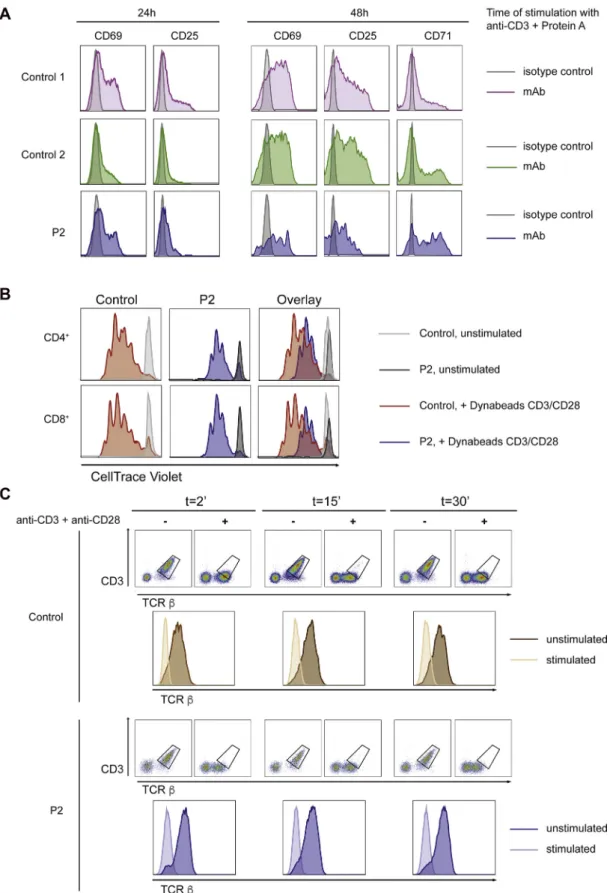 FIG E4. A, Surface expression of CD69, CD25, and CD71 after 24 and 48 hours of stimulation with anti-CD3 plus Protein A in T cells from 2 healthy control subjects and P2