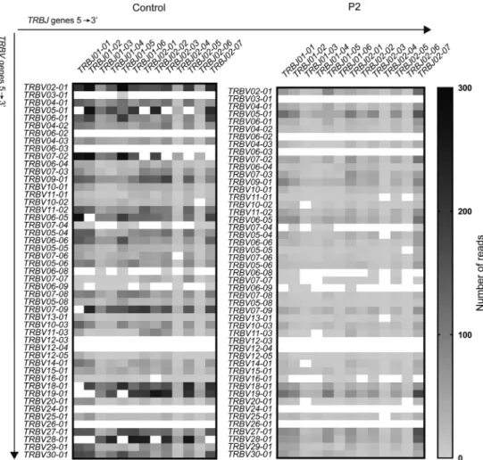FIG E5. TCRb (TRB) repertoire of peripheral blood T cells from a healthy control subject and P2