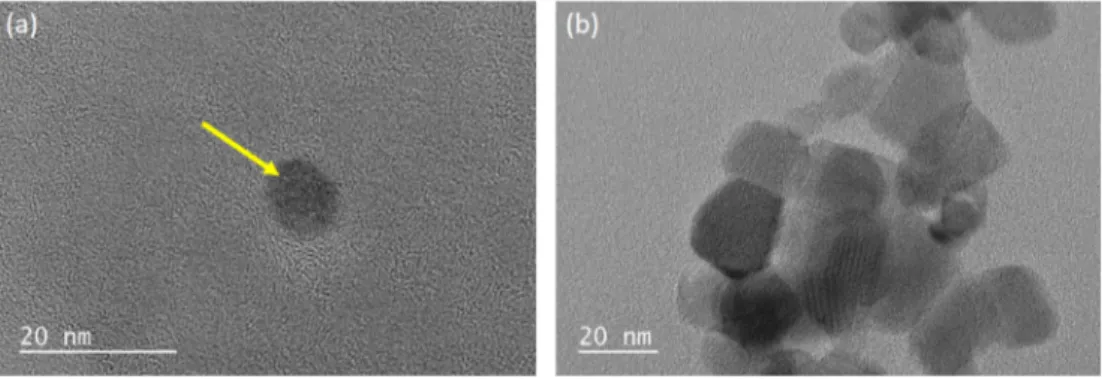 Fig. 2 e HR TEM image of the CQD from mushroom A.