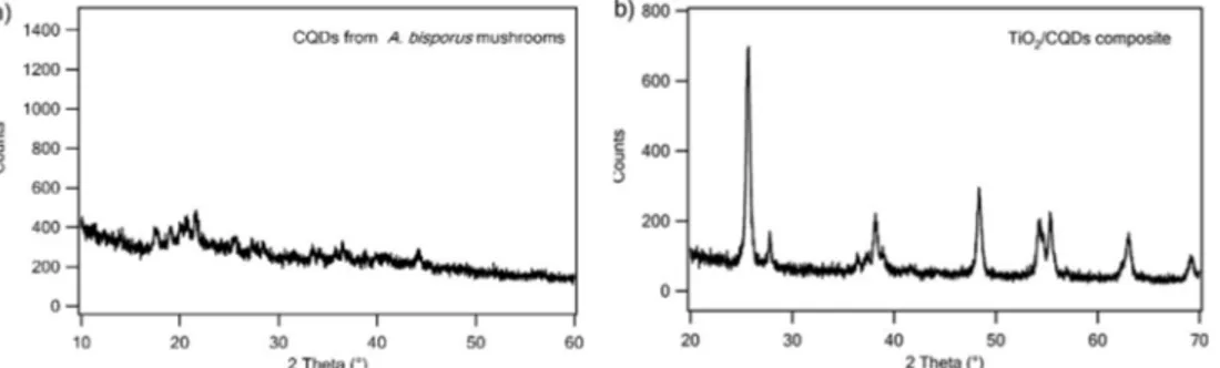 Fig. 4 e FT-IR spectrum of the CQDs from A. bisporus mushroom.