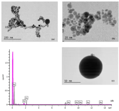 Fig. 2. (a), (b) and (c) are TEM images of produced Au nanoparticle at 800 nm wavelength using 90fs pulsed laser at 350mW laser power,                   (d) EDS result for Au nanoparticle