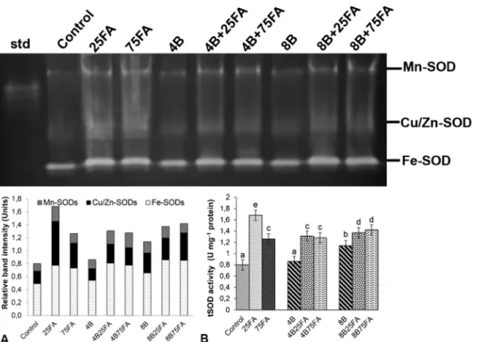 Fig. 4. Effects of exogenous 25 and 75 μM FA treatment on relative band intensity of different types of superoxide dismutase isoenzymes (SOD, A) and total SOD activity (B) in wheat leaves exposed to 4 and 8 mM B stress for 7 days (d).