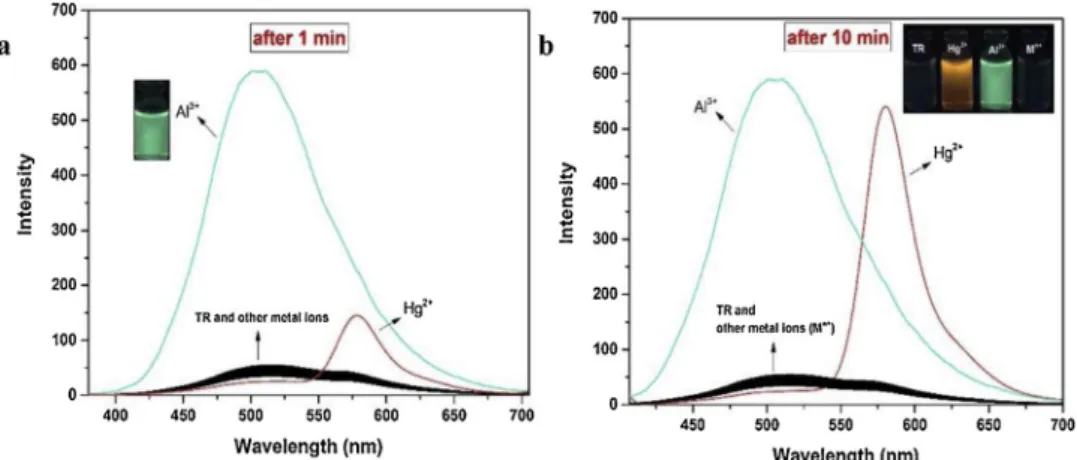 Fig. 2. Fluoresence spectra of TR (2.0 μM) with various concentrations of Al 3+ (a) and Hg 2+ (b) in MeCN/H 2 O (9/1, v/v)