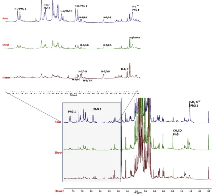 Fig. 1. Representative 1 H-NMR spectra of roots, ﬂowers and stems water extracts of C
