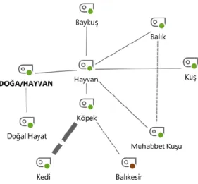 Şekil 10 Doğa/Hayvan Kod-Teori Modeli 