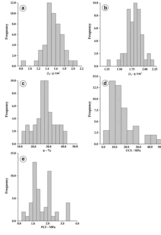 Fig. 3 Histograms of index and mechanical properties a dry density, b saturated density, c porosity, d UCS, and e PLT