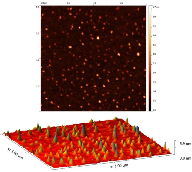 Fig. 3   AFM Height profile with topographical plot indicating the uniform distribution of as-synthesized cyst-Ag NPs