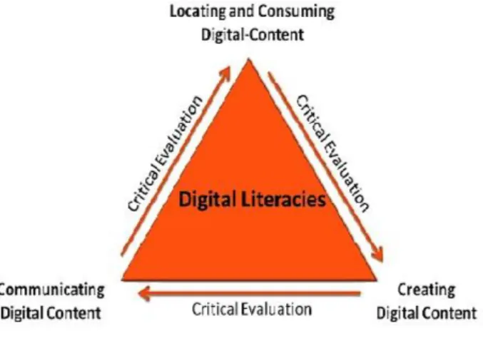Figure 2. Digital Literacy Practices 