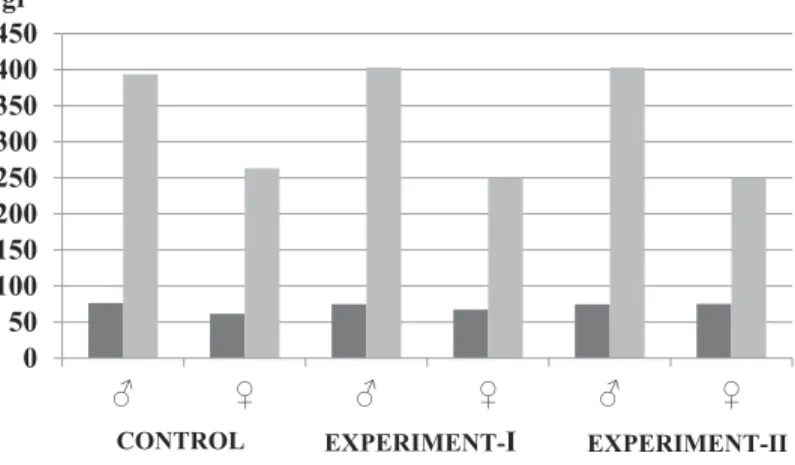 Figure 1. Changes in the body weights of rats in all groups at the beginning and end of the study.