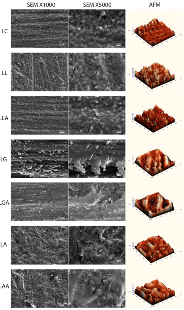 FIGURE 8  SEM and AFM images of Lava zirconia [Colour figure can be viewed at wileyonlinelibrary.com]