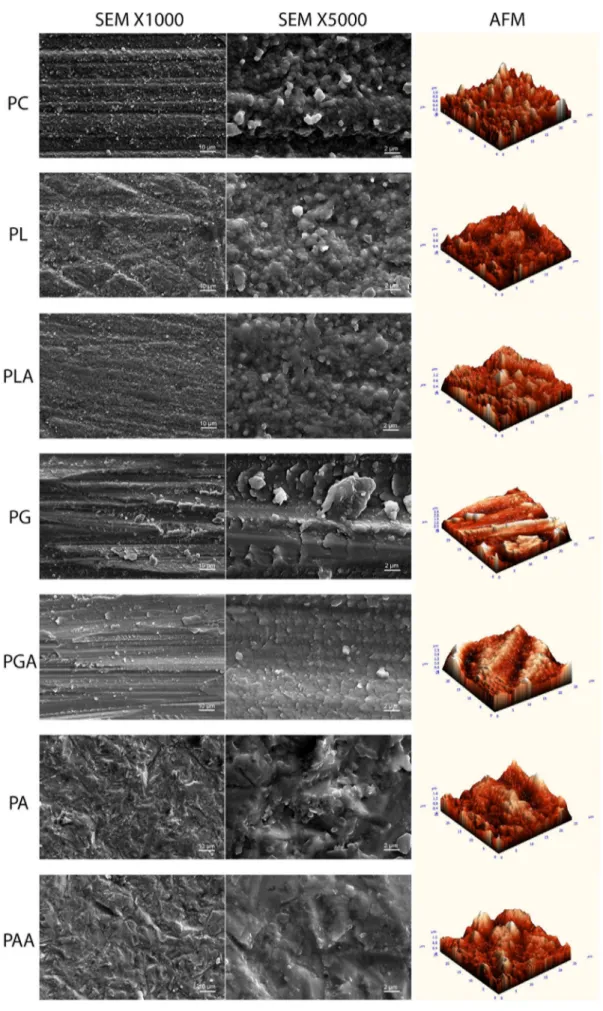 FIGURE 5  SEM and AFM images of Prettau zirconia [Colour figure can be viewed at wileyonlinelibrary.com]