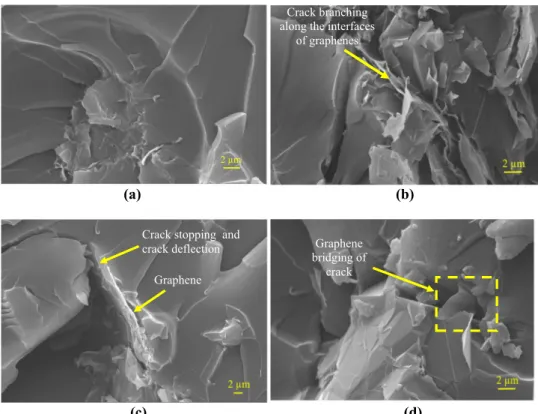 Fig. 6 SEM images indicating the different crack propagation mechanisms: a microcracks (10.00 KX), b crack branching (10.00 KX), c crack deflection and crack stopping (5.00 KX), and d crack bridging (10.00 KX)