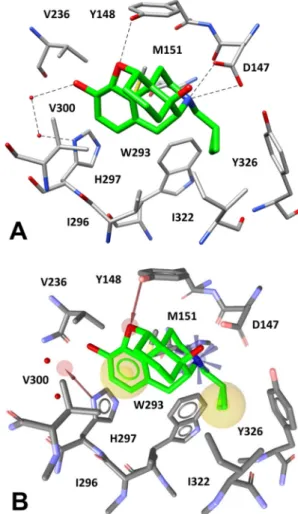 Figure 3. (A) Interactions of β-FNA core scaffold (green) inside MOR binding site (gray) and (B)  receptor-based pharmacophore model used for the VS study, superimposed to the complex