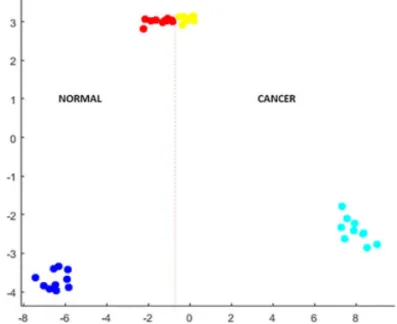 Figure 2 The spectra in the mass range from m/z 60 to m/