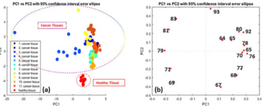 Fig. 5. Normalized 11 cancer tissues and a healthy colon tissue and a can be differentiated from each other clearly using (a) PCA statistical approaches, (b) Scattering of tissue ions can be distinguished according to PC1 and PC2 axes.