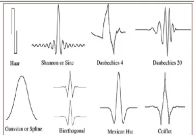 Fig. 8. Wavelet families.