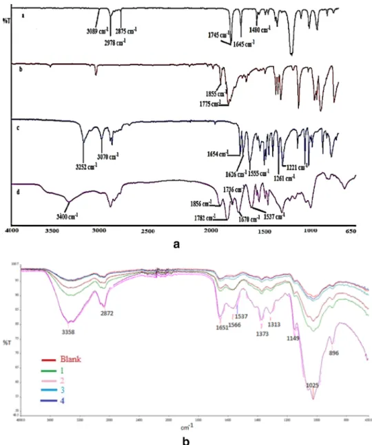 Fig. 2    a Fragments of FT-IR  spectra of the VP (a), MA (b),  NTBA (c) and  poly(VP-MA-NTBA) (d)