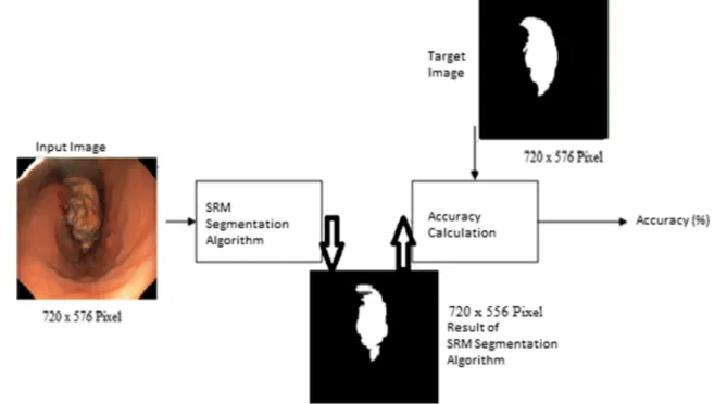 Figure 7 shows the results of the segmentation obtained as a result of the application of the RG algorithm.