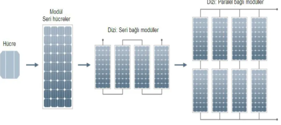ġekil 2.2. Fotovoltaik panel ve dizi [13]. 