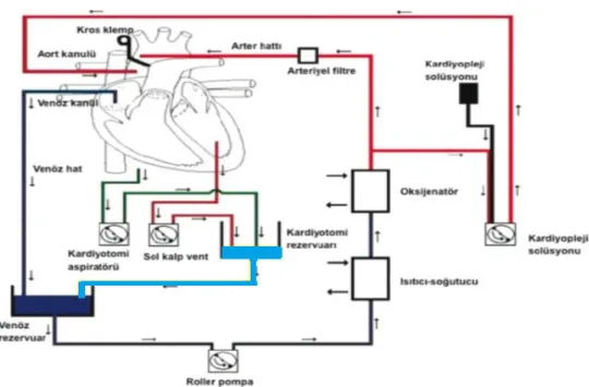 ġekil 1. Kardiyopulmoner Bypass ÇalıĢma Sistemi. 