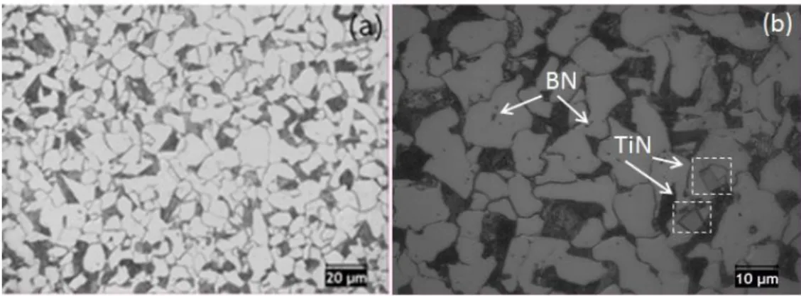 ġekil  6.3.  15  ppm  bor  içeren  1040  kalite  çeliğe  ait  numunenin  haddeleme  yönüne  paralel mikroyapı görüntüsü; a) 500x, b) 1000x