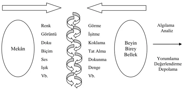 Şekil 2.2. Mekânın Duyum Aşaması 