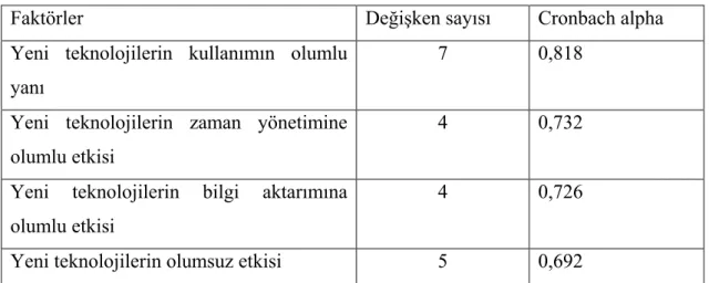 Tablo 12. Faktörlerin Güvenilirlik Analizi 