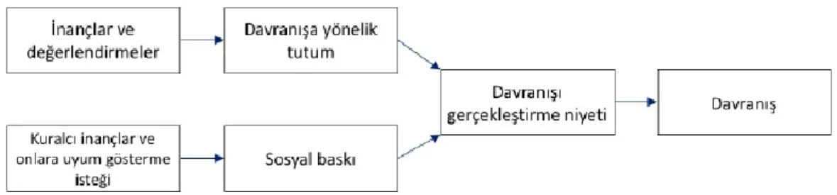 Şekil 3: Nedenli Eylem Teorisi 