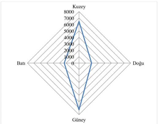 Grafik 1: Ana Yönler Diyagram Frekansı 