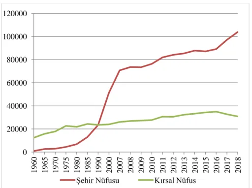 Grafik 8: Silopi’nin Yıllara Göre Nüfus Dağılımı Grafiği (1960-2018)  Kaynak: TÜĠK, 2018