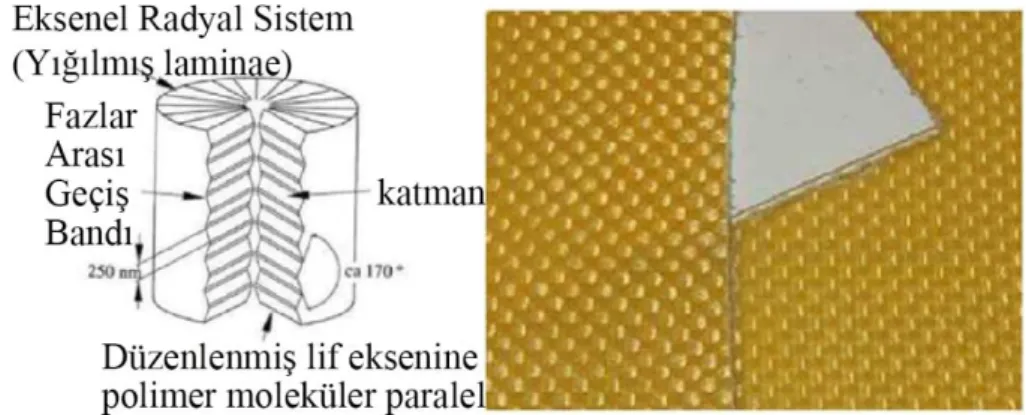 Şekil 2.4. Tek aramid lifi [17] ve ramid lifi kumaşı [18]. 