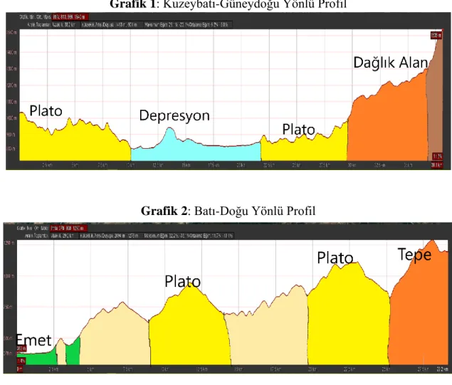 Grafik 2: Batı-Doğu Yönlü Profil 