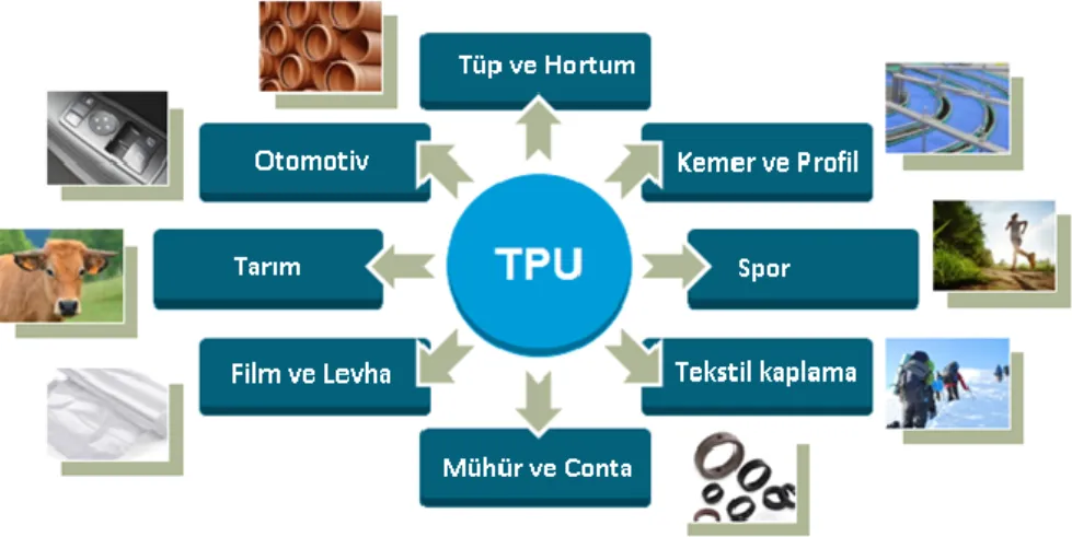 ġekil 2.5. TPU’dan imal edilen bazı endüstri ürünleri [9]. 