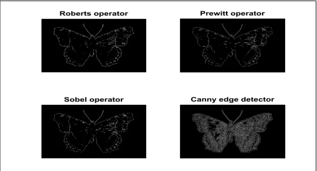 Figure 3.3. Edge detection using various operators.