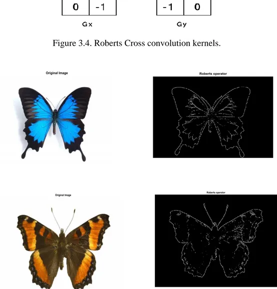 Figure 3.5. Robert‟s operator of the butterfly image. 