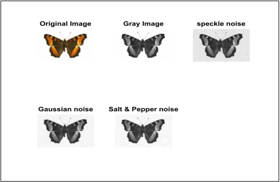 Figure 3.11. Special effects in an image using different types of noise.