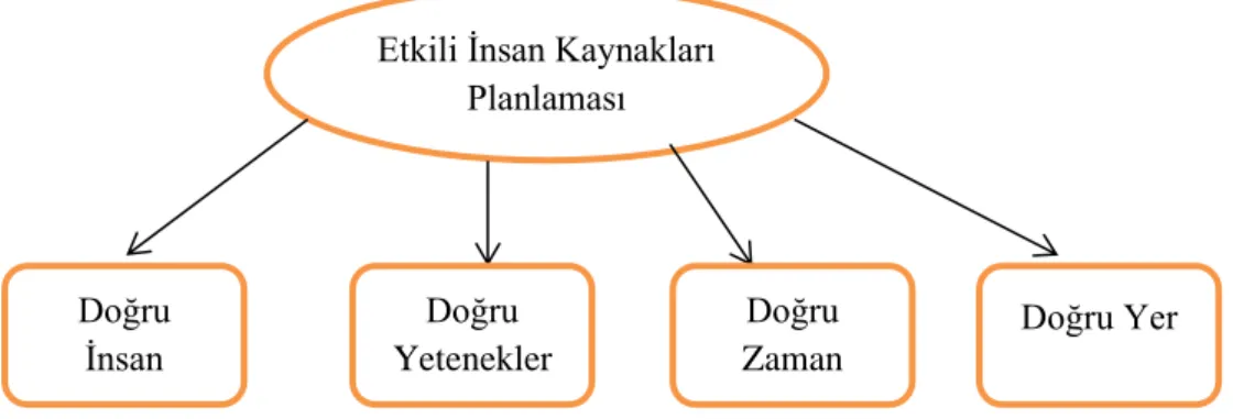 Şekil 3. İnsan Kaynakları Planlamasının Amaçları 