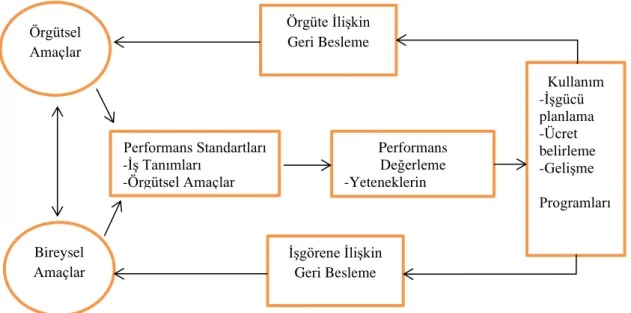 Şekil 6. Performans Değerleme Süreci 