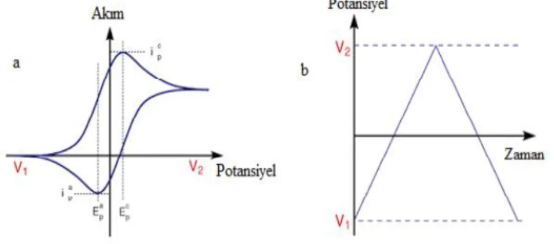 Şekil 3.7. a) Döngüsel voltamogram, b) Döngüsel voltametride uyarma sinyali [38]. 