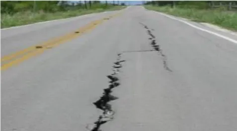 Figure  3.12  and  Figure  3.13  show  example  of  longitudinal  cracks  and  transverse  cracks respectively [55]
