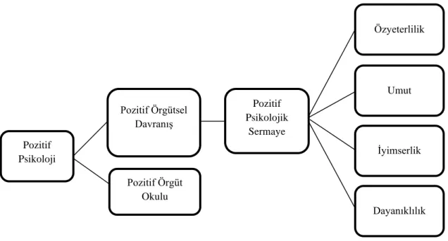 Şekil 2: Pozitif psikolojik sermayenin diğer pozitif kavramlarla ilişkisi (Luthans, Youssef, &amp; Avolio,  2007)