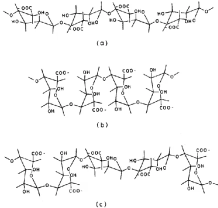 Figure 2.4. The structure of a) β-D-Mannuronic acid (M block), b) α-L-Guluronic             acid (G block) and c) mixed block (Shilpa et al., 2003)